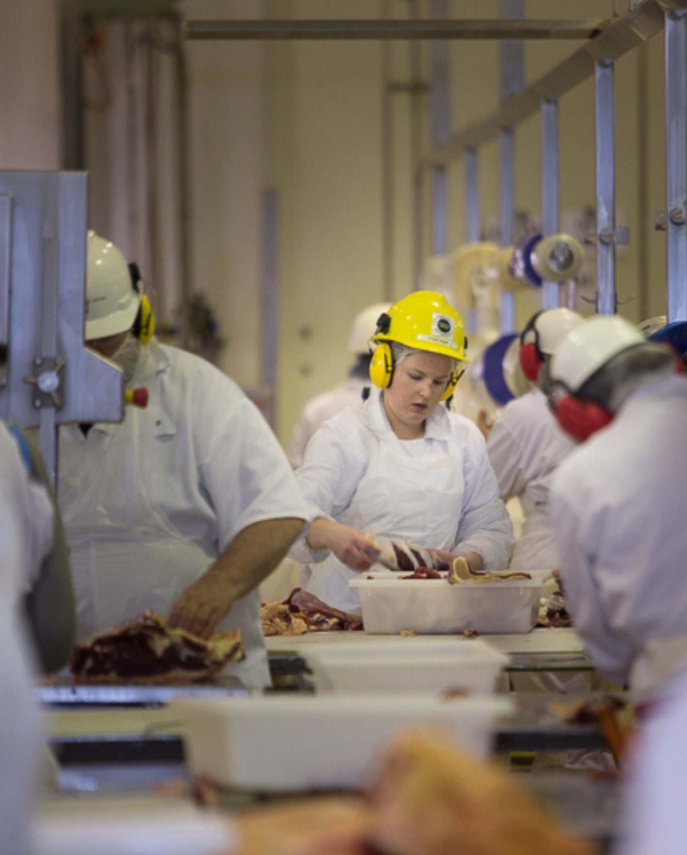 Teys employee customising meat
