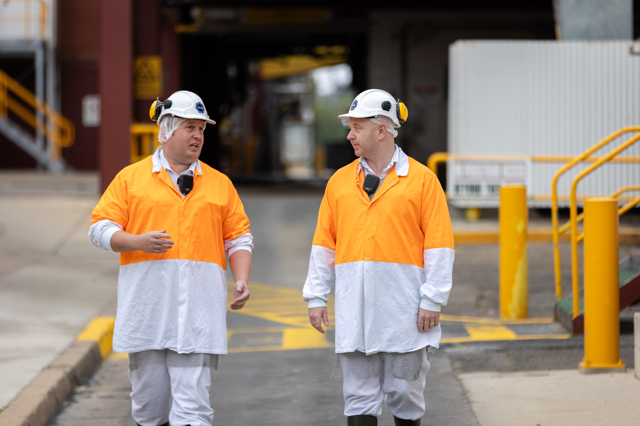 Teys employees working together